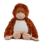 Orangutan