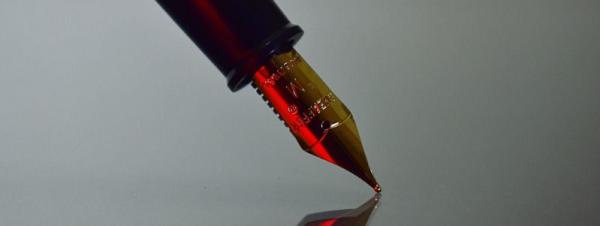 XAMAX: Terms & Conditions