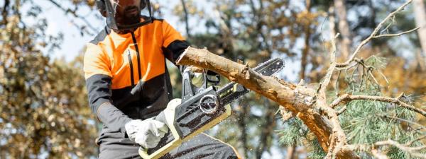 Tree Surgeon and Arborist Clothing: What Safety Gear to Wear and When to Wear It