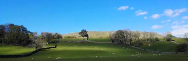 XAMAX: Our Environmental Policy