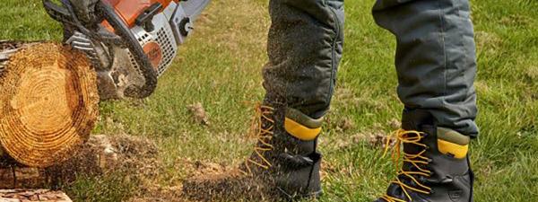 How To Conduct A Chainsaw Risk Assessment: 6 Steps for Managers