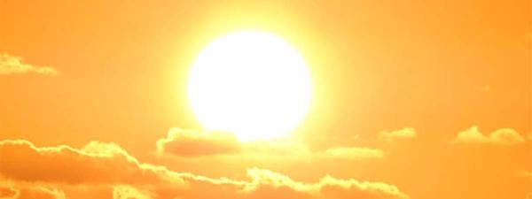 What You Need to Keep Workers Cool in Summer