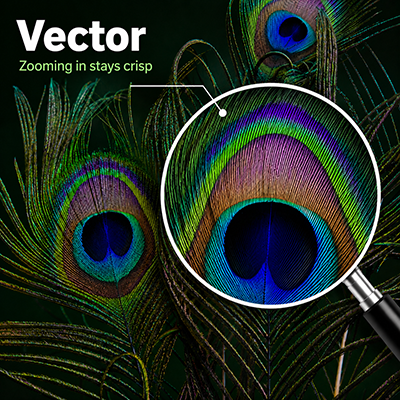 Zoomed-in vector artwork staying sharp when enlarged