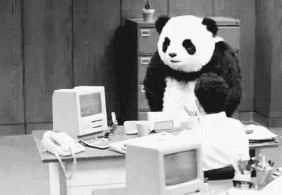 A Panda gets angry at work
