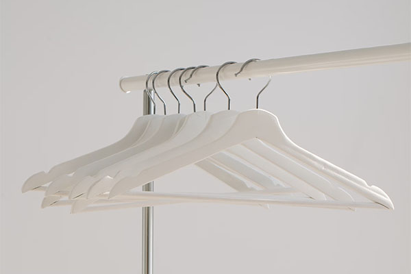 Hangers in an Empty Closet