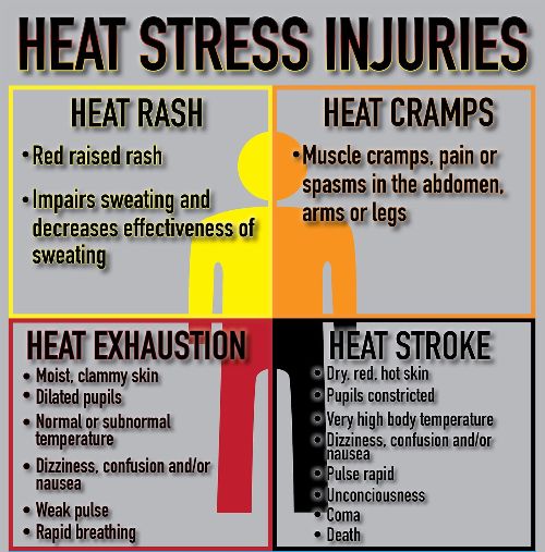 Signs of heat stress
