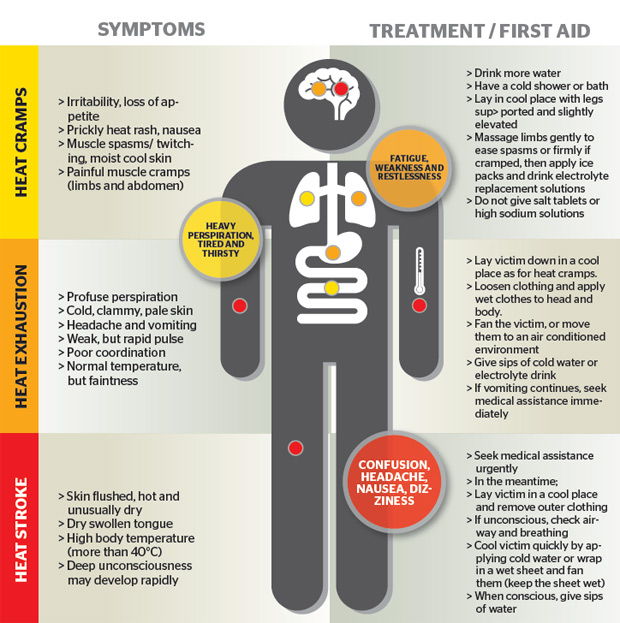 Image shows different symptoms of heat stress and treatments